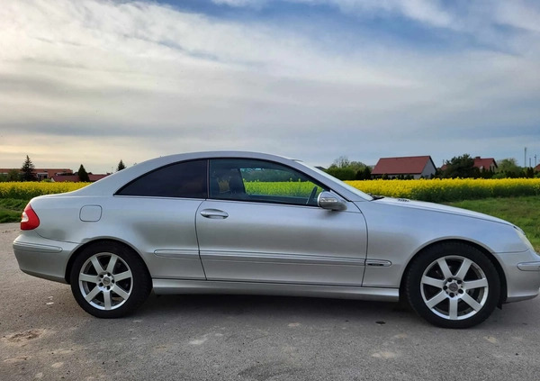 Mercedes-Benz CLK cena 18500 przebieg: 256500, rok produkcji 2004 z Lubin małe 106